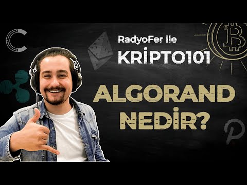 Kripto101: Algorand – ALGO Coin Nedir? | Projesi ve Geleceği Nasıl?