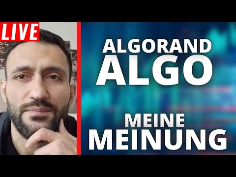 Algorand (ALGO) ist EINZIGARTIG – Wir kaufen diesen Coin! | Stream Highlights