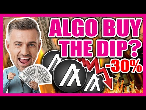 **HUGE** ALGORAND HOLDERS MUST SEE… Whats Next for ALGO Crypto ?! Coin Price Targets & Analysis ⚠️