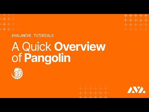 What Is Pangolin Exchange | Getting Started on Pangolin Quick Overview | Avalanche Tutorials
