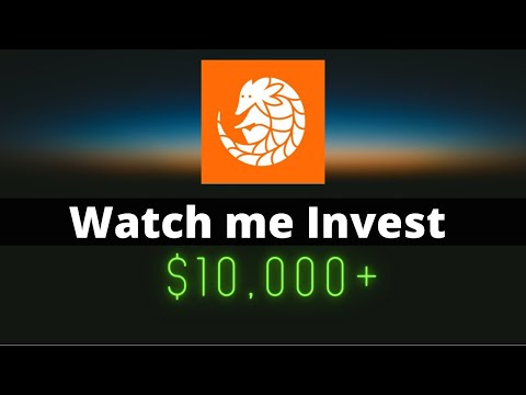 Watch Me Invest $10,000 In Pangolin – The Next Pancake Swap or Uniswap !!
