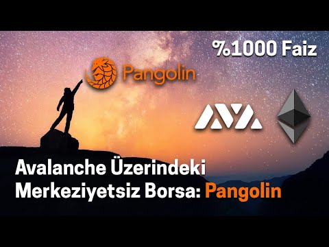 Avalanche Üzerindeki Merkeziyetsiz Borsa: Pangolin | %1000 Faiz & Pasif Gelir & AVAX & MetaMask