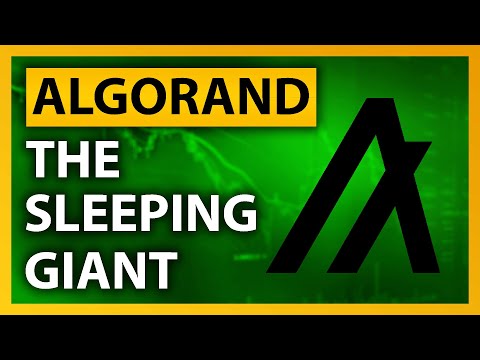Algorand: THE Sleeping Giant Of 2022! | ALGO Explained (CRYPTO)