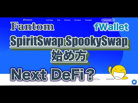 【FTM】Fantom・fWallet・SpiritSwap・SpookySwapのDeFiの始め方！新しいFTMネットワーク・基本戦略などなど【DeFi】※字幕ON推奨