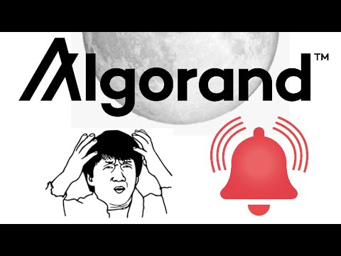 DON’T GO ALL IN ON ALGORAND!!!