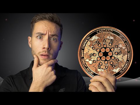 The 5 DON’Ts of CARDANO. (Be Warned)