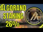 MASSIVE ALGORAND STAKING REWARDS! 26% ON TINYMAN POOL! ALGO COIN!