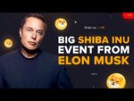 Elon Musk & Shiba INU: You should buy Shiba Coin! | Big Crypto Events