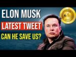 DOGECOIN:  ELON MUSK JUST DID THIS!! CAN THIS SAVE US???
