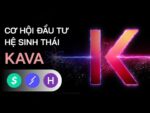 Cơ hội lợi nhuận hệ Kava –  Lý do khiến TVL tăng một mạch lên $600 triệu là gì?