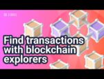 How to find transactions on a blockchain explorer (using transaction ID) | Exodus Tutorial