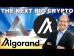 The Next Crypto To Rise To The Top! ALGORAND Is SERIOUSLY Underrated! Here Is An Introduction To Why