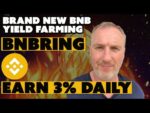 Brand New Yield Farming on the Binance Smart Chain | Earn 3% Daily Passive Income by Staking BNB