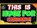 CARDANO ADA WHALES ON BUYING SPREE!  – ADA SUPPLY SHORTAGE? – SHOULD I BUY ADA – CRYPTO NEWS