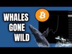 BITCOIN BITFINEX WHALES ARE DOING THIS…