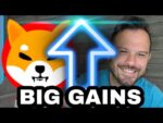 Shiba Inu Coin | The Gains Are Returning! (are #SHIB gains here to stay)