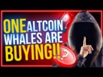 The One Altcoin That Every Whale Is Still Holding!