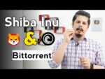 Shiba Inu & Bittorrent Power For Long Term