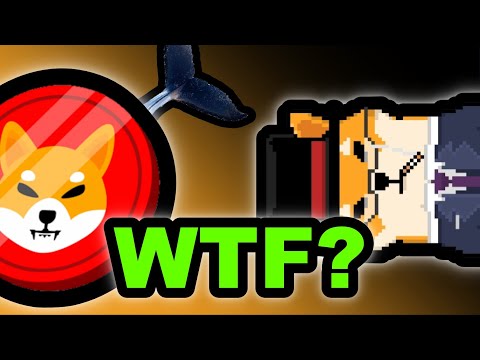 COINMARKETCAP DID THIS TO SHIBA INU COIN? – Crypto Founders Leaking