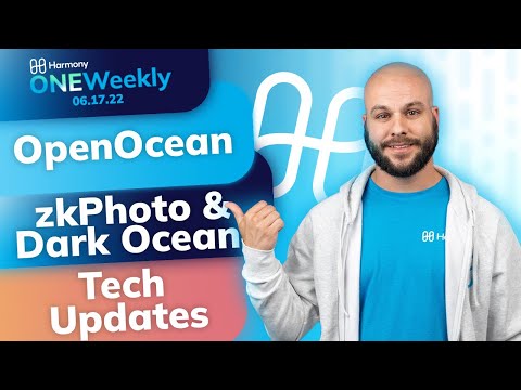 ONEWeekly #9: OpenOcean, zkPhoto, Dark Forest Port, and Tech Updates.