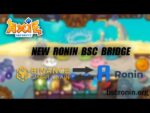 How To Use New Ronin Bridge | Axie Infinity