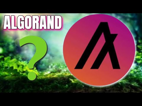 IS ALGORAND (ALGO) A FUTURE TOP 10 CRYPTO?