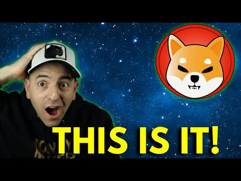 SHIBA INU GAME CHANGER (EXPLAINED)
