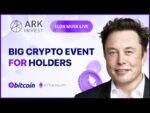 Elon Musk: After the collapse in the NFT market, should we expect a drop in the value of Bitcoin?