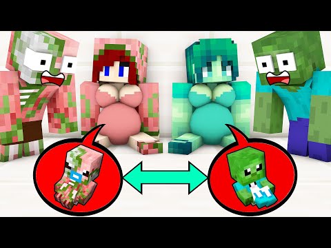 Monster School : ZOMBIE BABY SWAP PIGMAN BABY CHALLENGE – Minecraft Animation