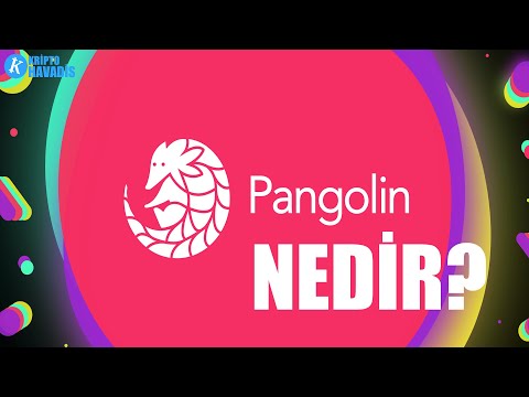 Pangolin Exchange Nedir? PNG Ne İşe Yarar?