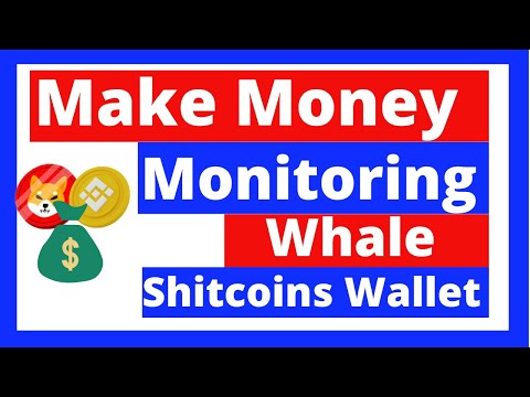 shitcoin trading strategies – How to Monitor Whales Shitcoins Wallet