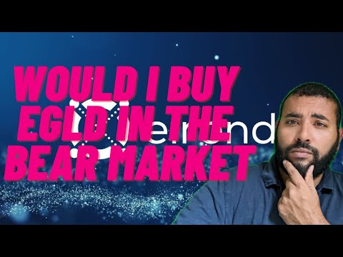 Would I Buy Elrond (EGLD) in the Bear Market? Installment 40 of 1001