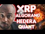 XRP 500 million ‼️Algorand Is The People’s Coin‼️SEC Slammed ‼️
