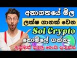 Solona Cryptocurrency Free Airdrop | Instant Withdrawal Airdrop | Sol crypto Sinhala