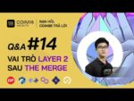 Q&A #14 Tiềm năng của Layer 2 sau The Merge là gì?