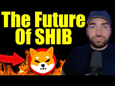 The Future Of Shiba Inu Token (What Next?)